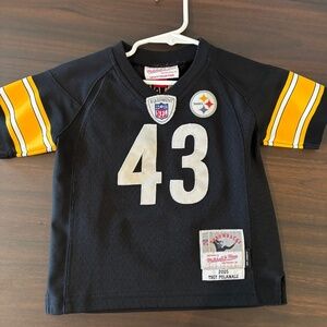 2T Steelers Polamalu Jersey
